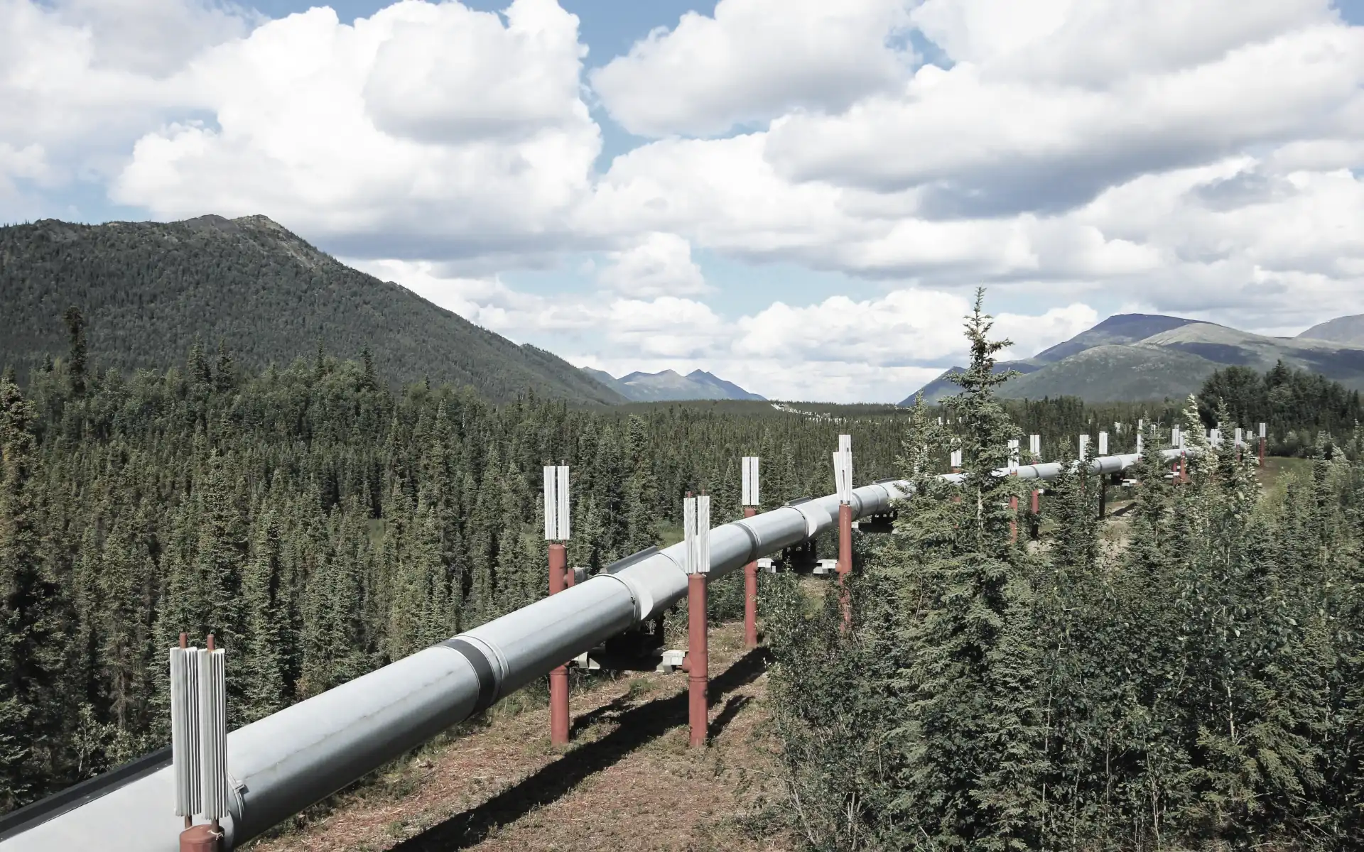Overground gas pipeline system winding through a rural area with trees and muddy terrain.