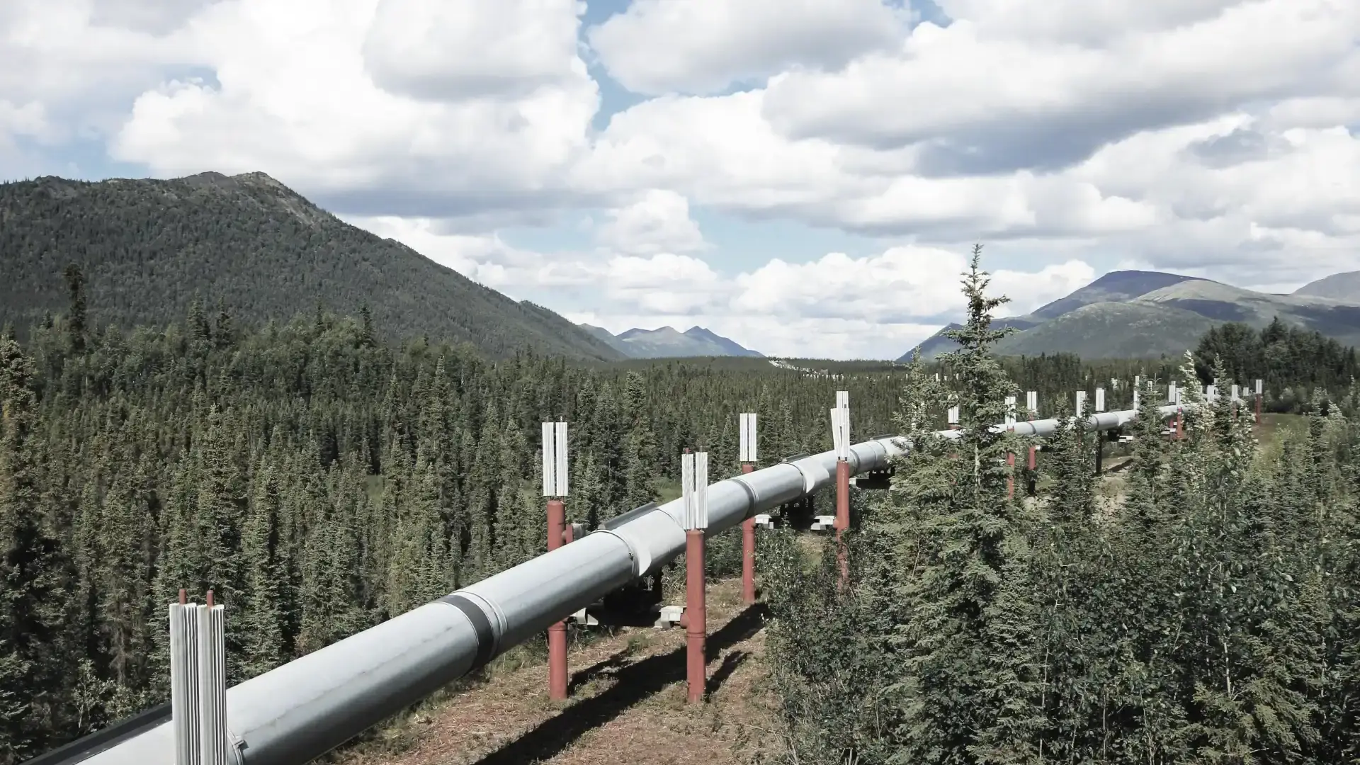 Overground gas pipeline system winding through a rural area with trees and muddy terrain.
