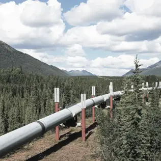 Overground gas pipeline system winding through a rural area with trees and muddy terrain.