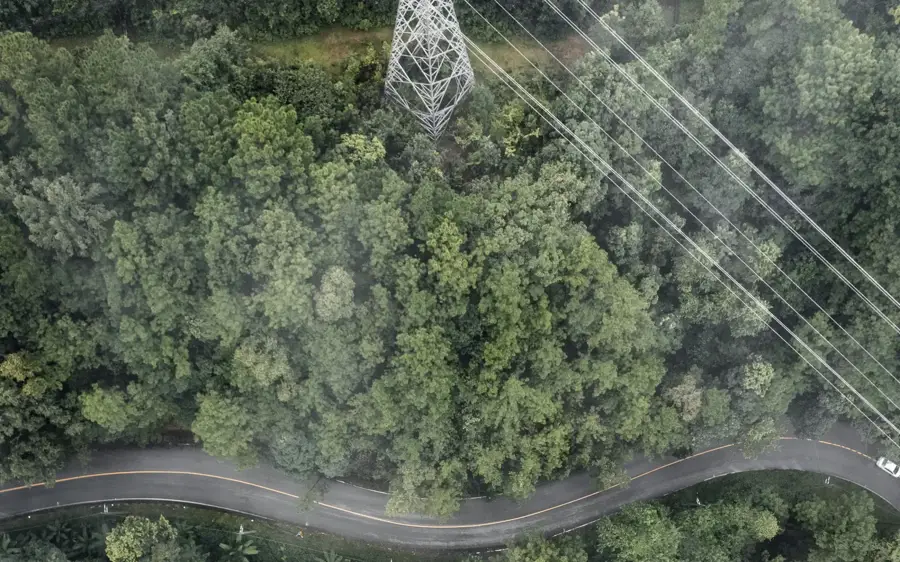 High-voltage power lines stretching across a green forest