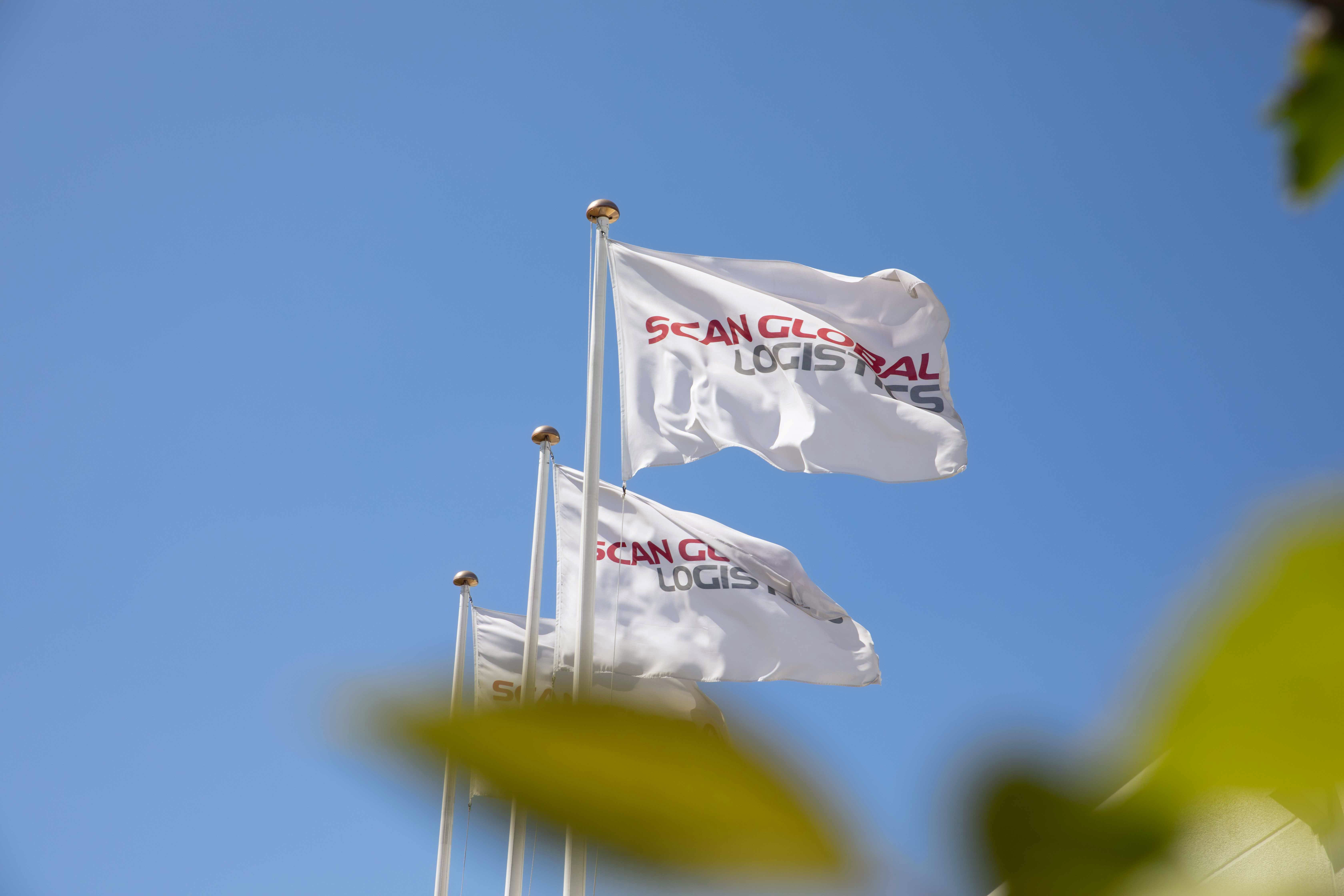 Scan Global logo flags