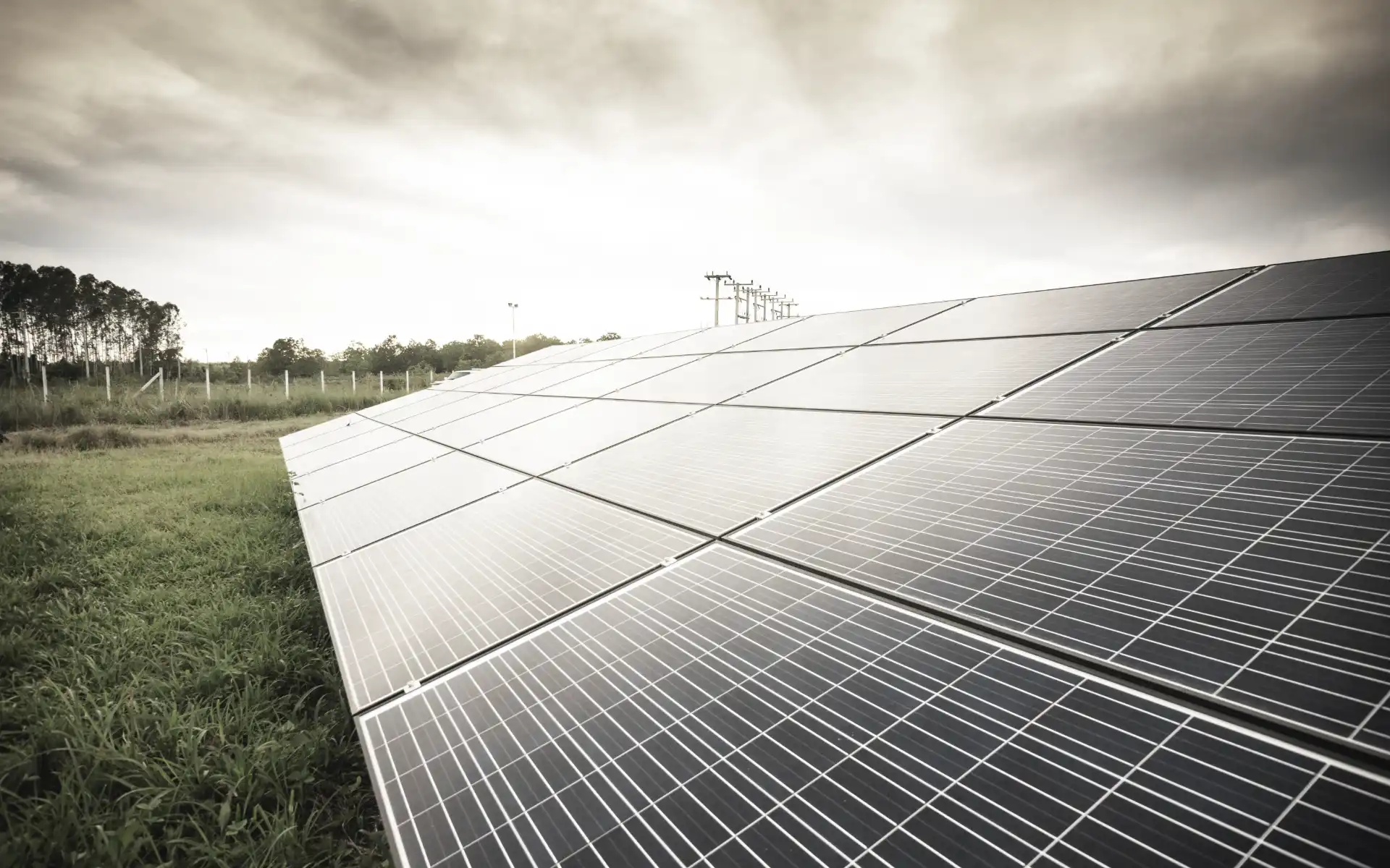 Angled view of a solar panel array on grassy terrain near a forest, under an overcast sky.