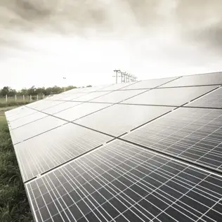 Angled view of a solar panel array on grassy terrain near a forest, under an overcast sky.
