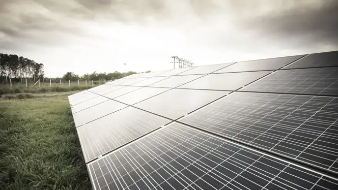 Angled view of a solar panel array on grassy terrain near a forest, under an overcast sky.