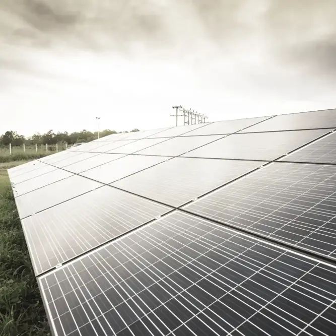 Angled view of a solar panel array on grassy terrain near a forest, under an overcast sky.