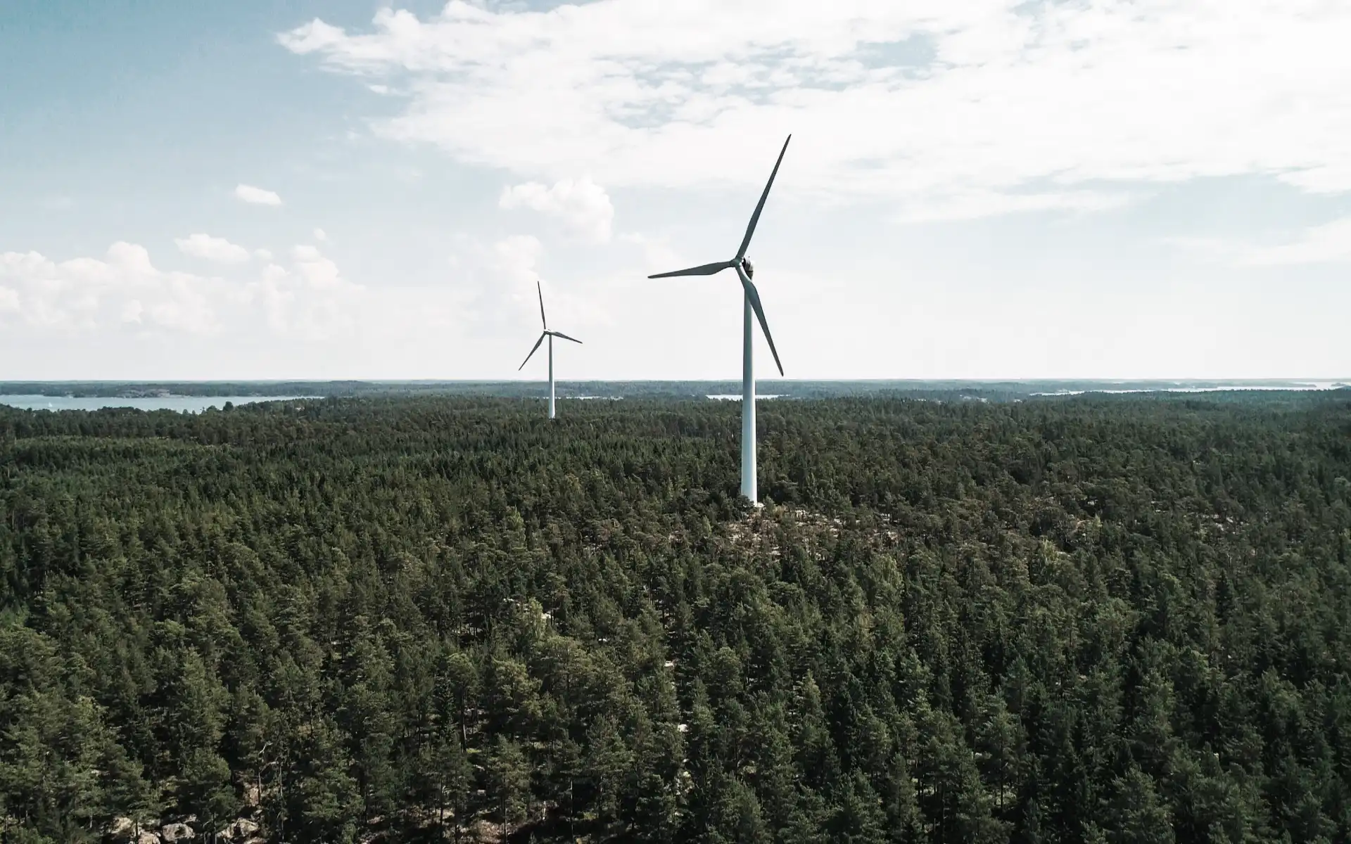 Wind turbines scattered across a dense green forest with a distant view of water and sky.