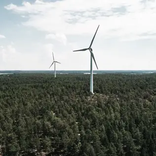 Wind turbines scattered across a dense green forest with a distant view of water and sky.