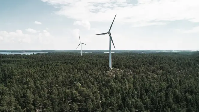 Wind turbines scattered across a dense green forest with a distant view of water and sky.