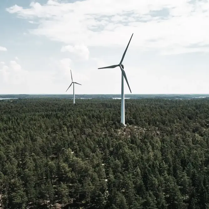 Wind turbines scattered across a dense green forest with a distant view of water and sky.