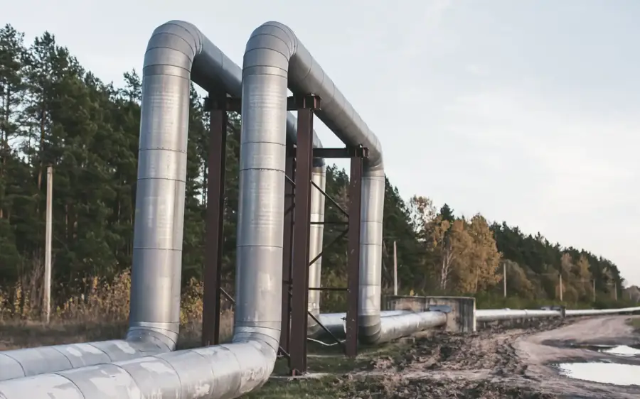  Elevated insulated gas pipelines supported by metal structures, running alongside a forested area.