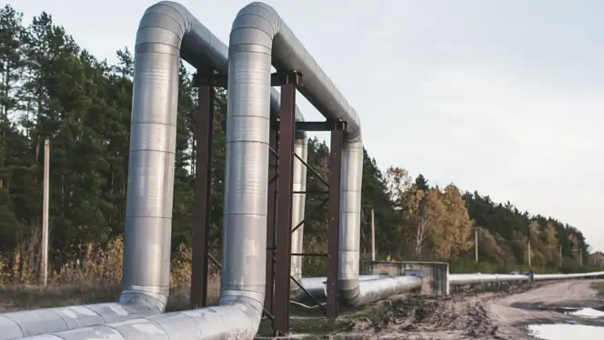 Elevated insulated gas pipelines supported by metal structures, running alongside a forested area.