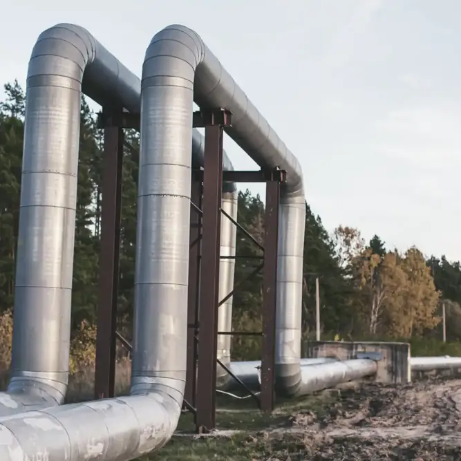 Elevated insulated gas pipelines supported by metal structures, running alongside a forested area.